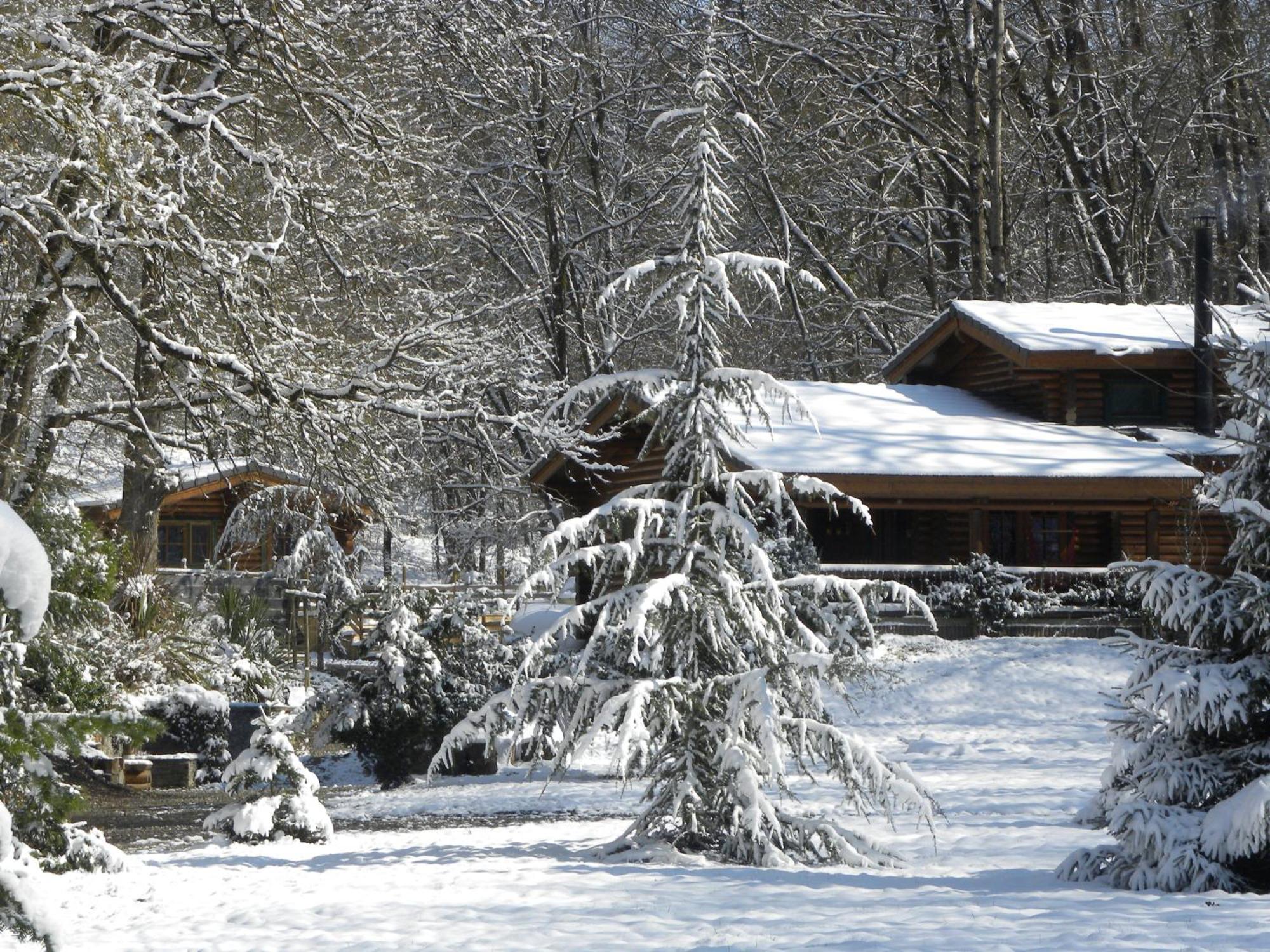 Tumbleweed House Bed & Breakfast Aigrefeuille Dış mekan fotoğraf